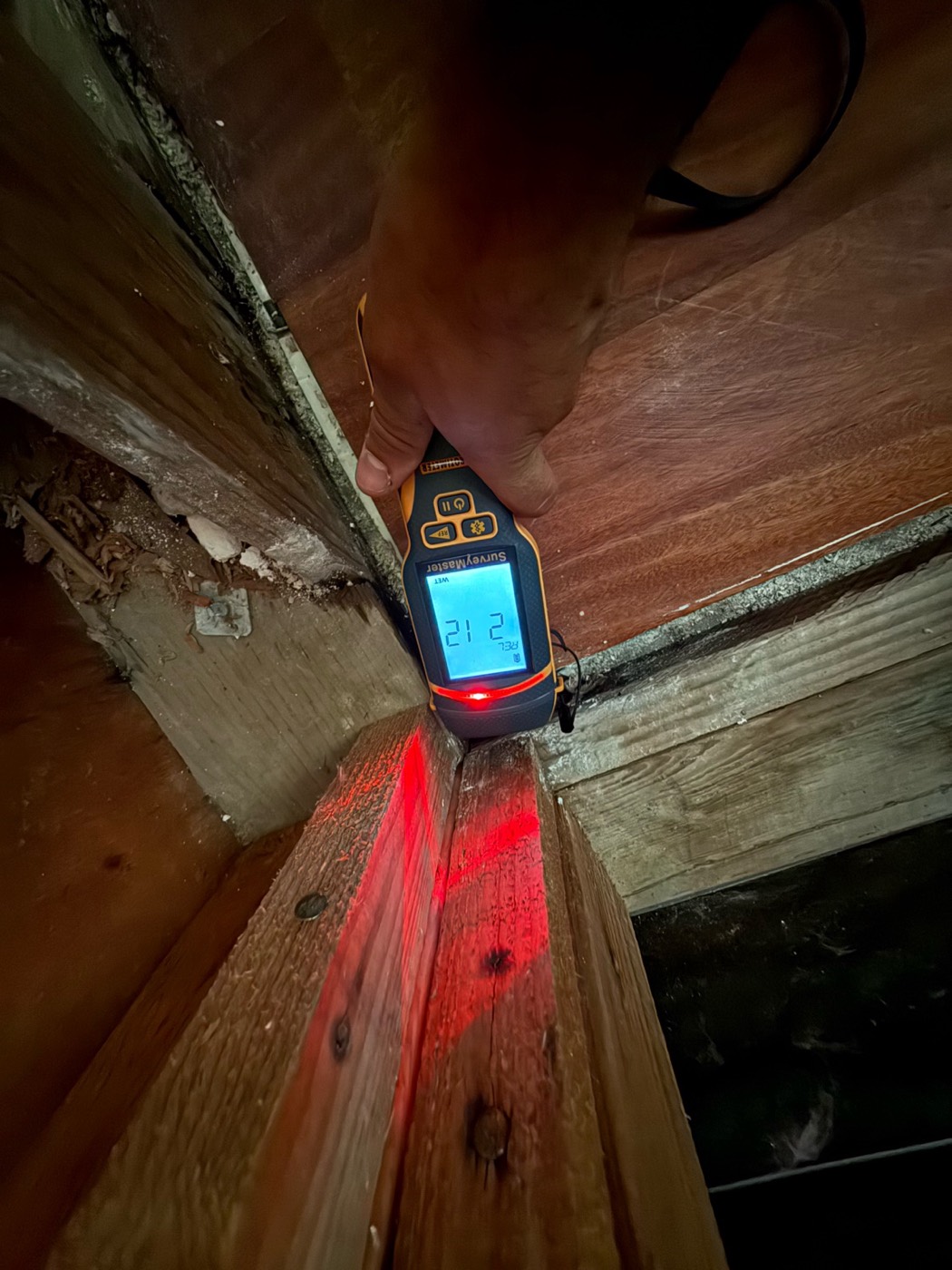 Moisture meter reading being taken on wood framing